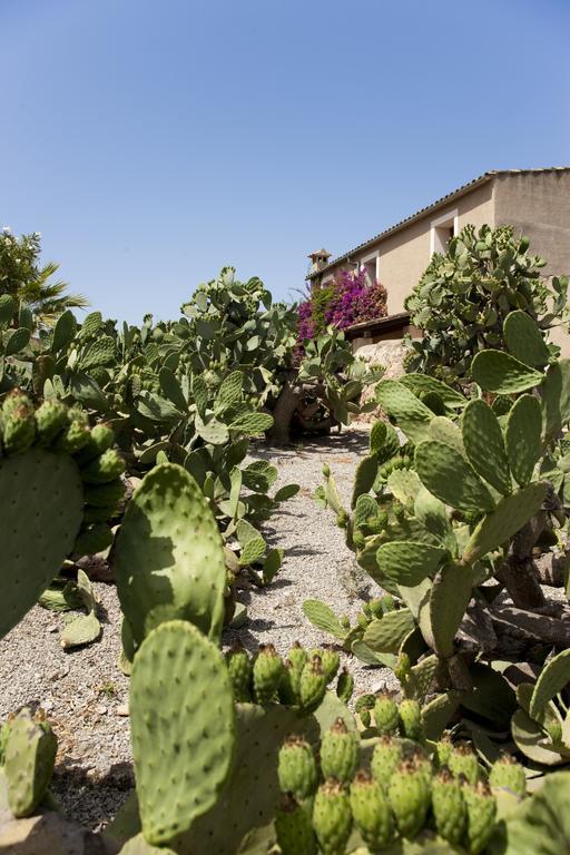 Agroturismo Can Patro Guest House Manacor  Exterior foto