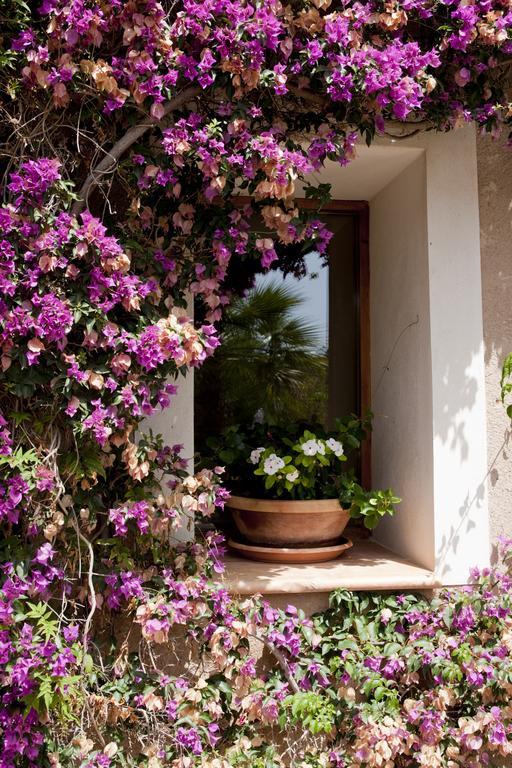 Agroturismo Can Patro Guest House Manacor  Exterior foto