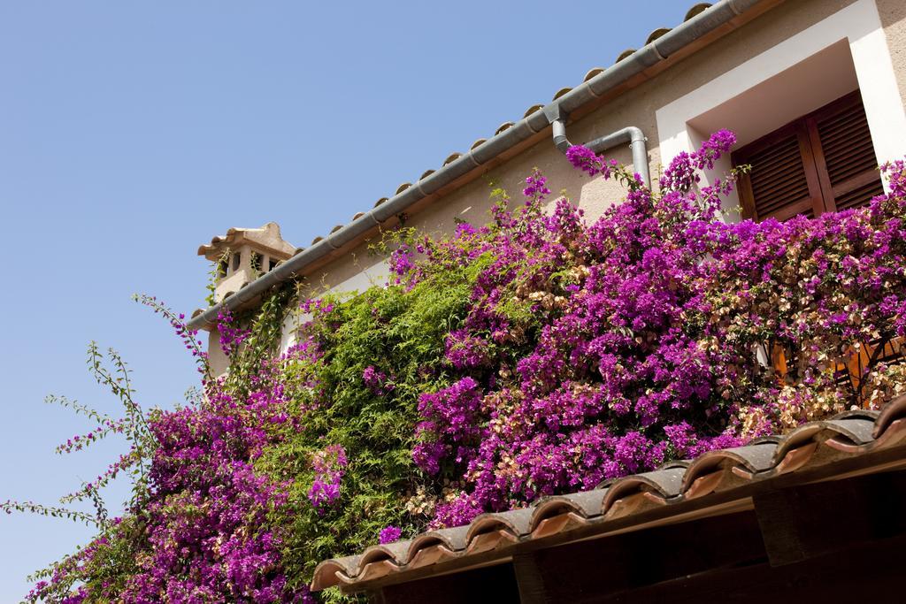 Agroturismo Can Patro Guest House Manacor  Exterior foto